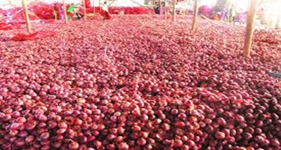 Centre to increase Onion supply in Delhi from buffer stock | APN News